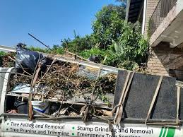 Same-Day Junk Removal Services in Lincoln, AL